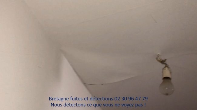 Nous détectons ce que vous ne voyez pas !