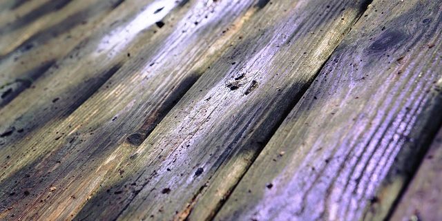 détections fuites d'eau et de gaz en Bretagne