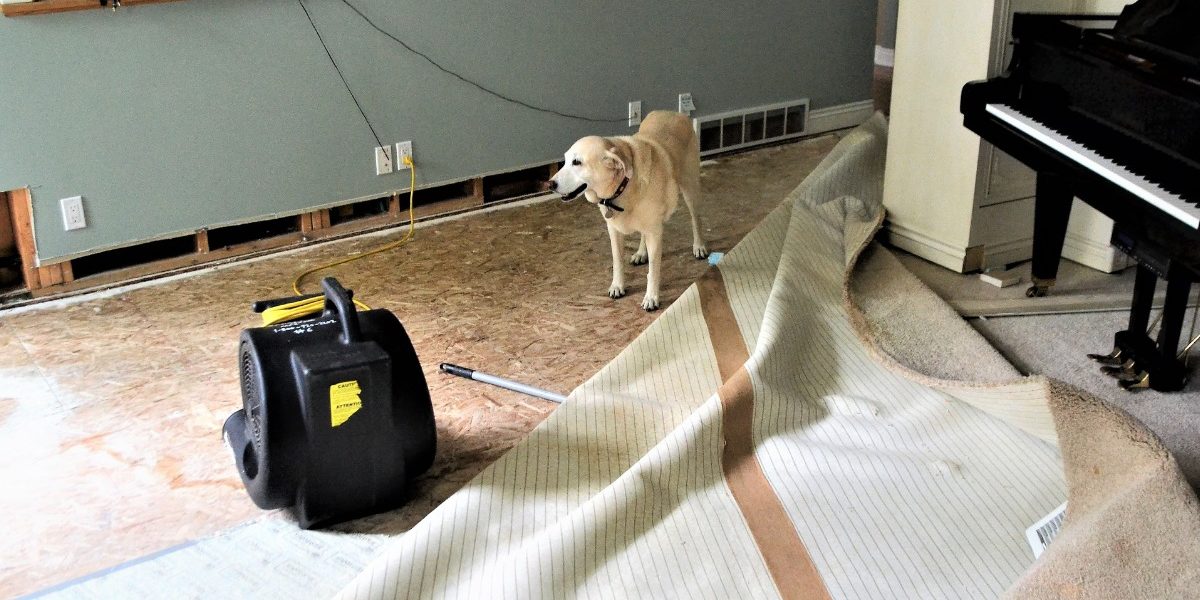 Assèchement technique Bretagne Fuites Détections Assèchement technique Bretagne Fuites Détections