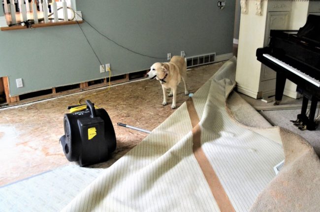 Assèchement technique Bretagne Fuites Détections